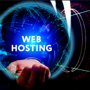STANDARD WEB HOSTING